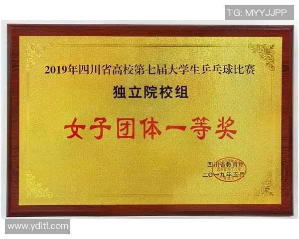 重庆乒乓球队与成都乒乓球队耐力对决的精彩赛后分析与总结 重庆乒乓球队与成都乒乓球队耐力对决的精彩赛后分析与总结