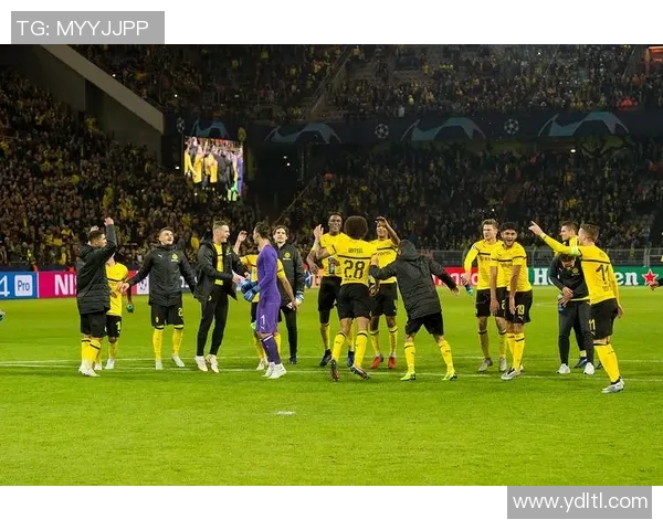 多特蒙德与不来梅的激烈对决谁能在德甲赛场上笑到最后