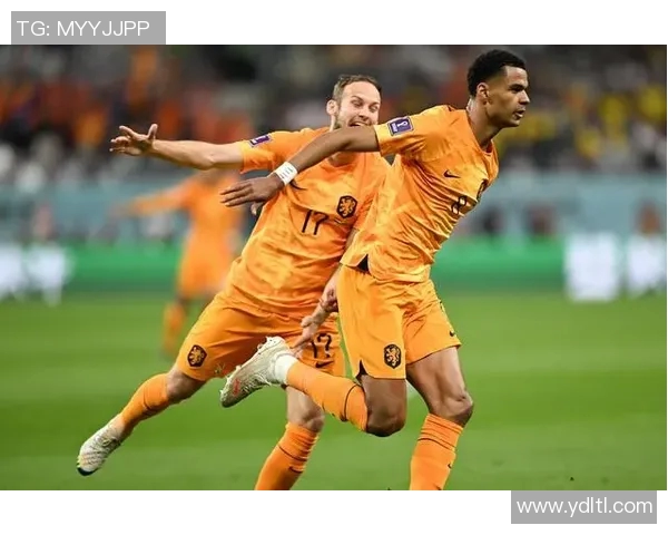 北爱尔兰与荷兰足球对决全方位分析及赛前预测