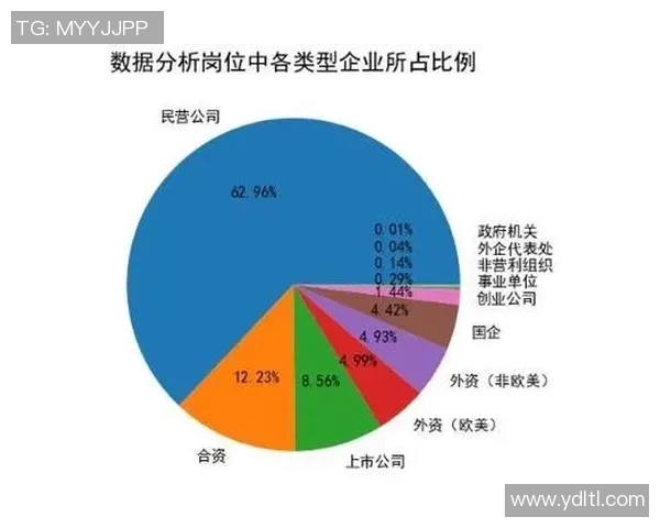 南京排球队战术表现数据分析揭示球队优势与改进方向