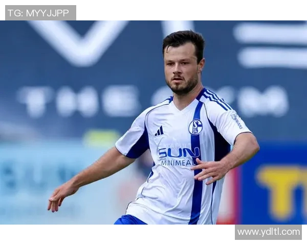 纽伦堡对沙尔克精彩直播全程回顾与赛后分析 纽伦堡对沙尔克精彩直播全程回顾与赛后分析