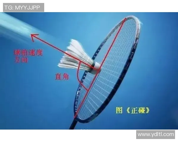 科学羽毛球速度训练的有效方法与技巧提升运动表现的全面指南MBA 科学羽毛球速度训练的有效方法与技巧提升运动表现的全面指南MBA