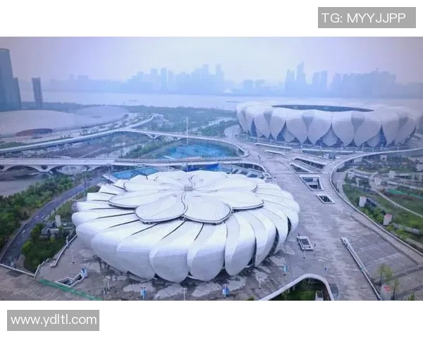 杭州网球队引领网球战术潮流最新TOP10解析与展望